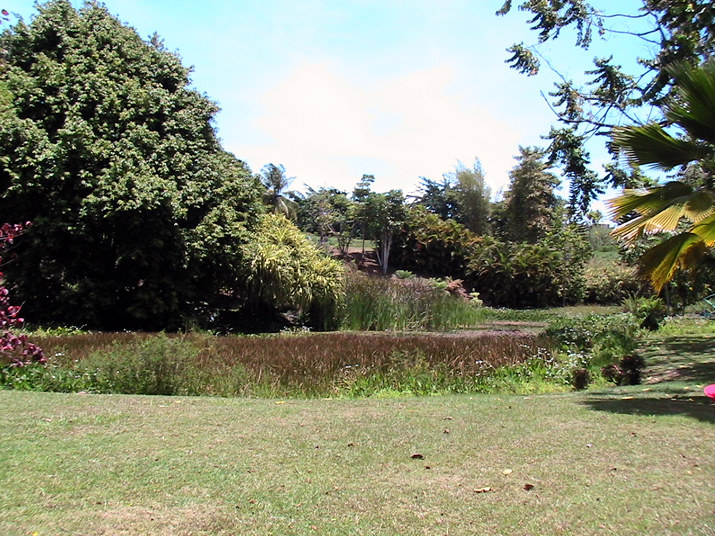 28 - Jardin des eaux 020.jpg